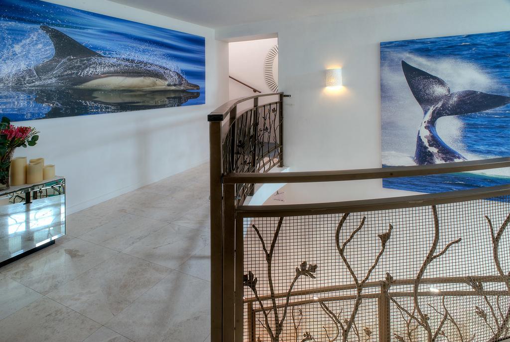Sea Star Cliff Villa Gansbaai Ngoại thất bức ảnh